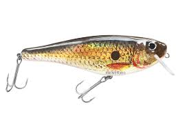 Hester Monster Shad Floater 20cm MM