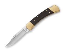 Buck 110 Folding Hunter® Knife
